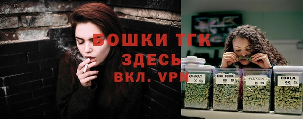 прущие грибы Армянск