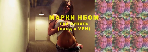 прущие грибы Армянск