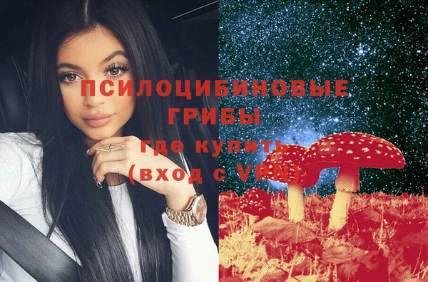 молекула духа Арсеньев
