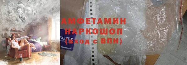 молекула духа Арсеньев