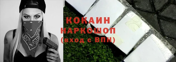 прущие грибы Армянск