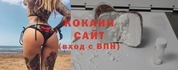 молекула духа Арсеньев