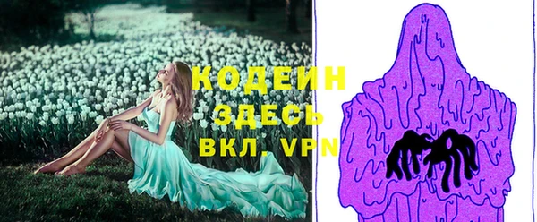 молекула духа Арсеньев