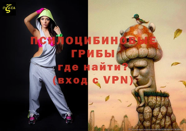 молекула духа Арсеньев