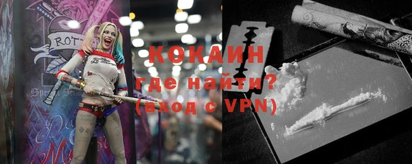 молекула духа Арсеньев