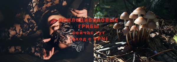 первитин Новозыбков