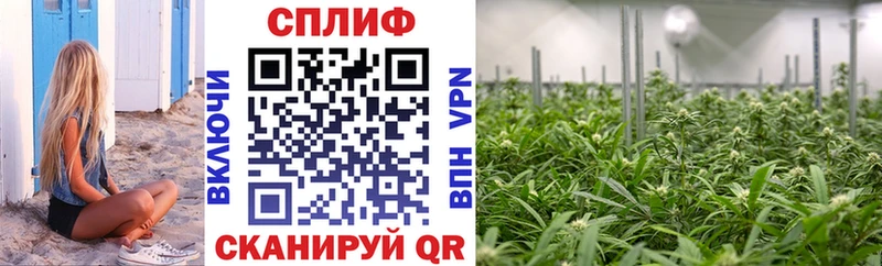 Конопля семена хочу Таруса